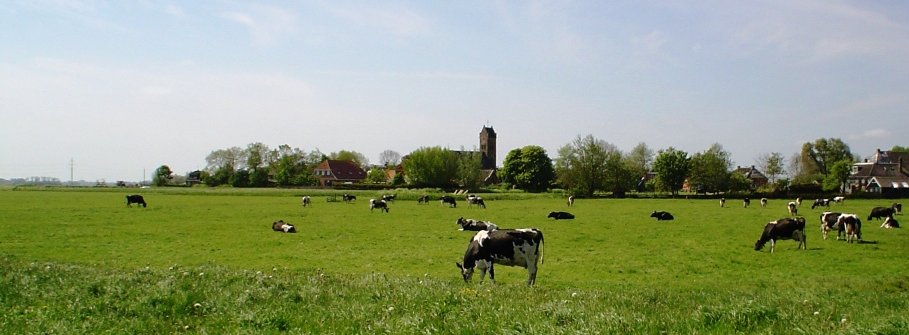 Landelijk uitzicht over weiland en dorpje Dearsum